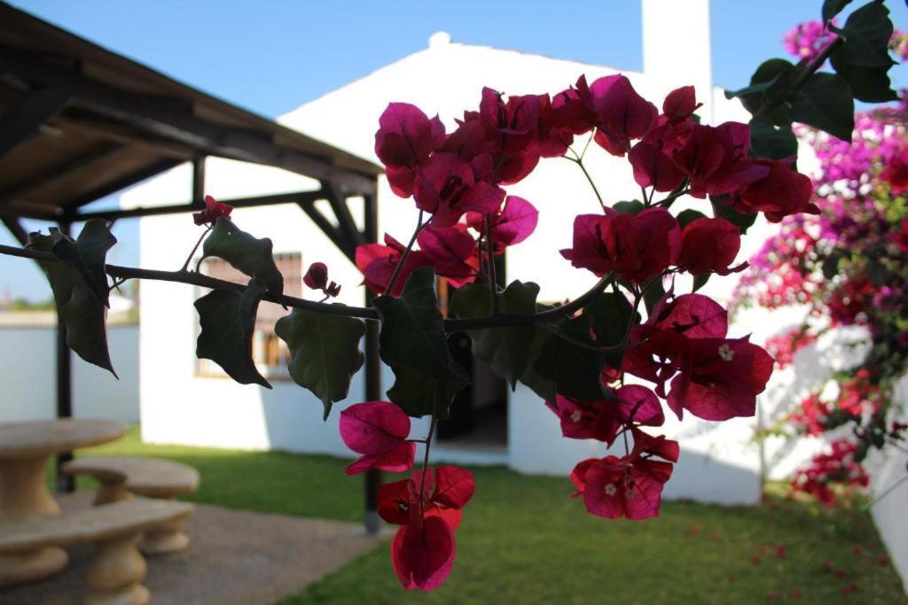 Hacienda los Majadales Conil De La Frontera Exterior foto