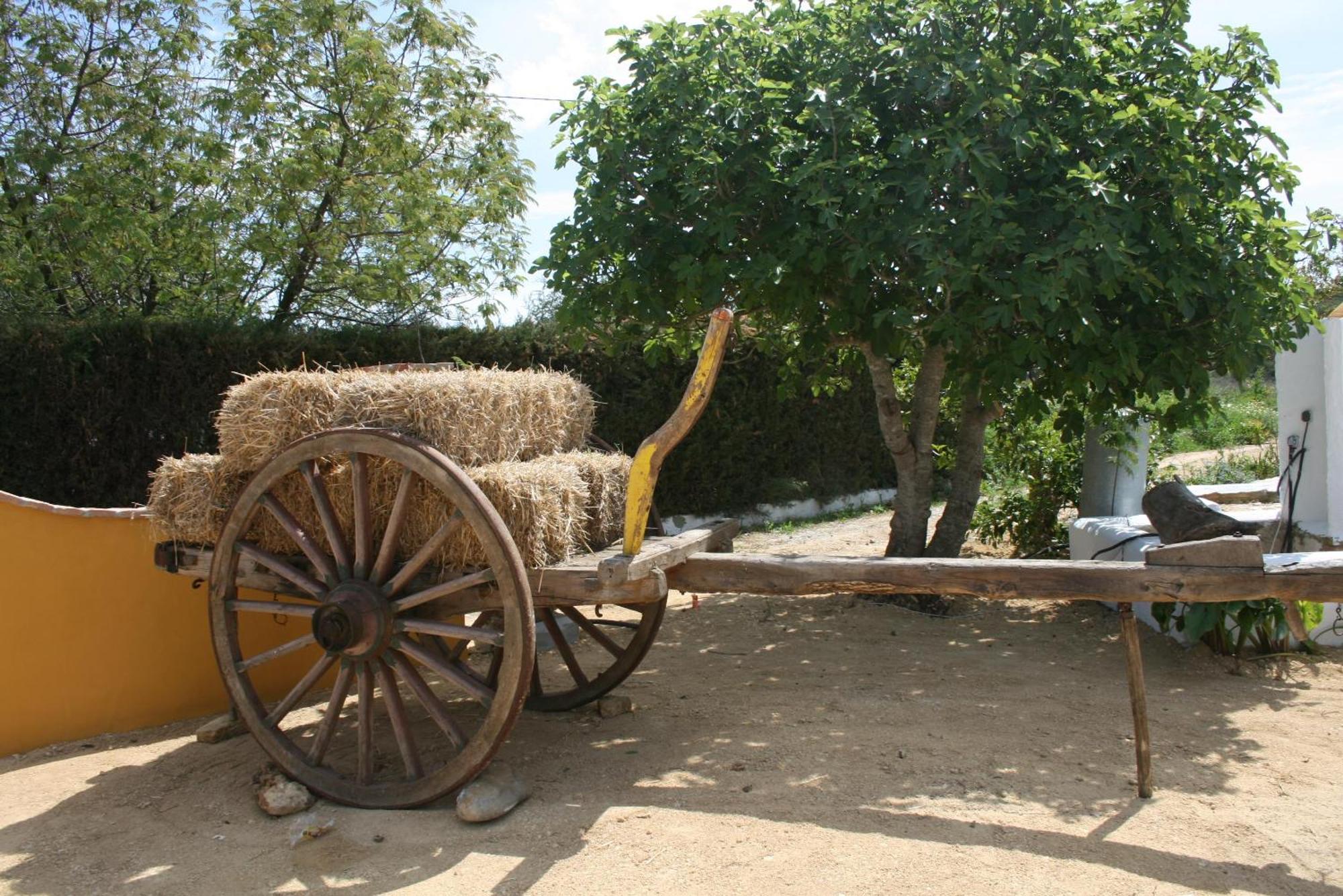Hacienda los Majadales Conil De La Frontera Exterior foto