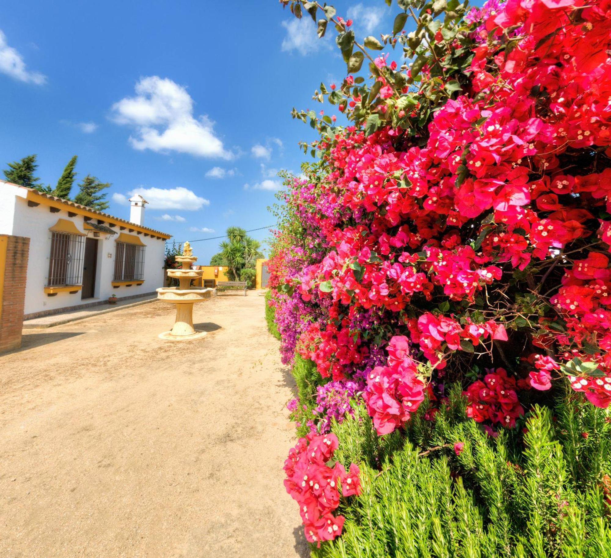Hacienda los Majadales Conil De La Frontera Exterior foto